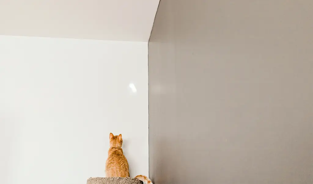 艾菲爾裝潢玩轉浪漫唯美，打造法式情調的居家空間